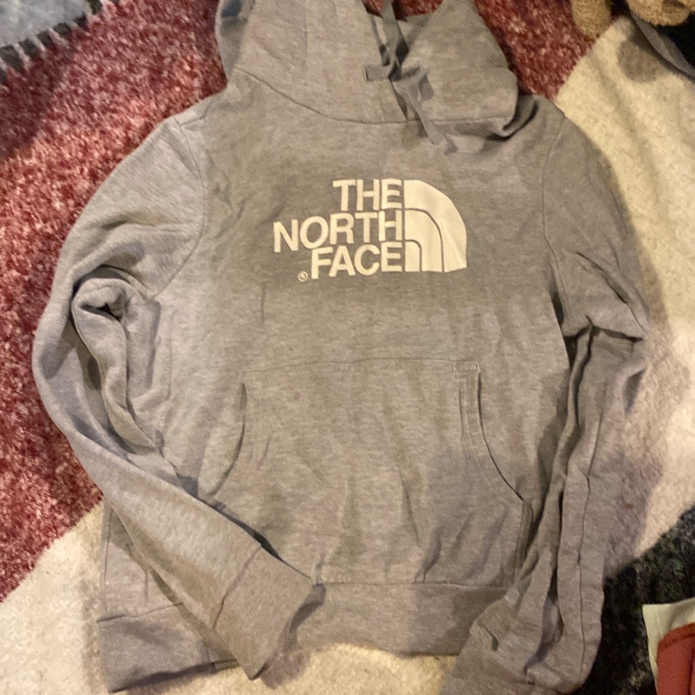 The north face sweatshirt